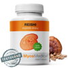 Reishi Mycomedica 90cps